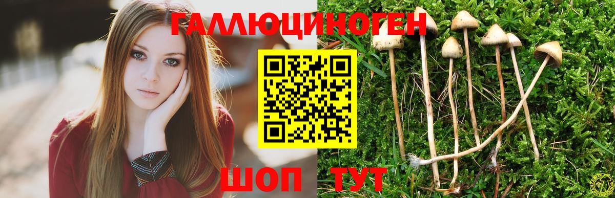 даркнет сайт  Галлюциногенные грибы Magic Shrooms  Вход с VPN  Галлюциногенные грибы MAGIC MUSHROOMS  Ейск 